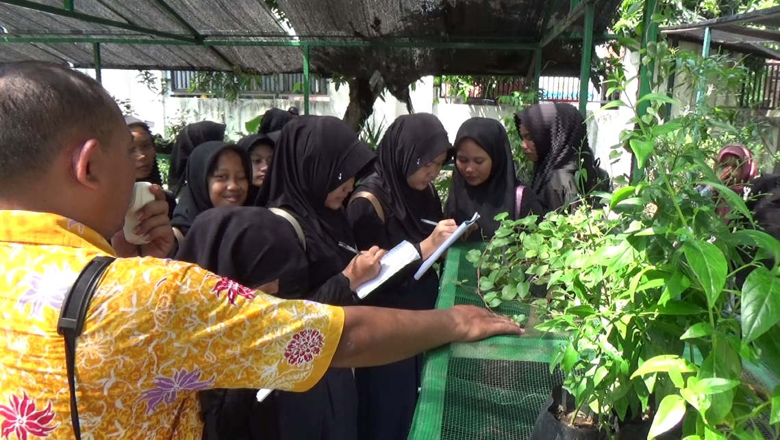 Siswa SMPN 2 Sragi Kunjungi UPTD Balai Pelayanan dan Sertifikasi Jamu dalam Rangka P5