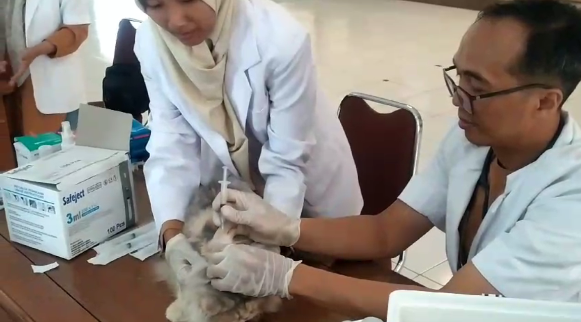 World Rabies Day 2024, DKPP Kabupaten Pekalongan Gelar Vaksinasi Hewan