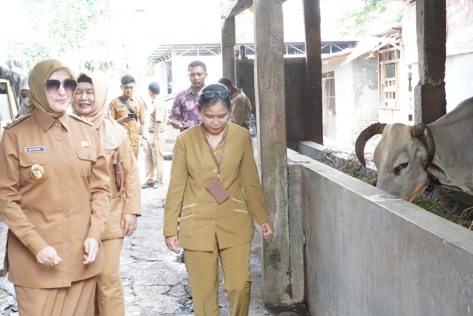 Pastikan Kesehatan Hewan Kurban, Wakil Wali Kota Tinjau Peternakan di Kuripan
