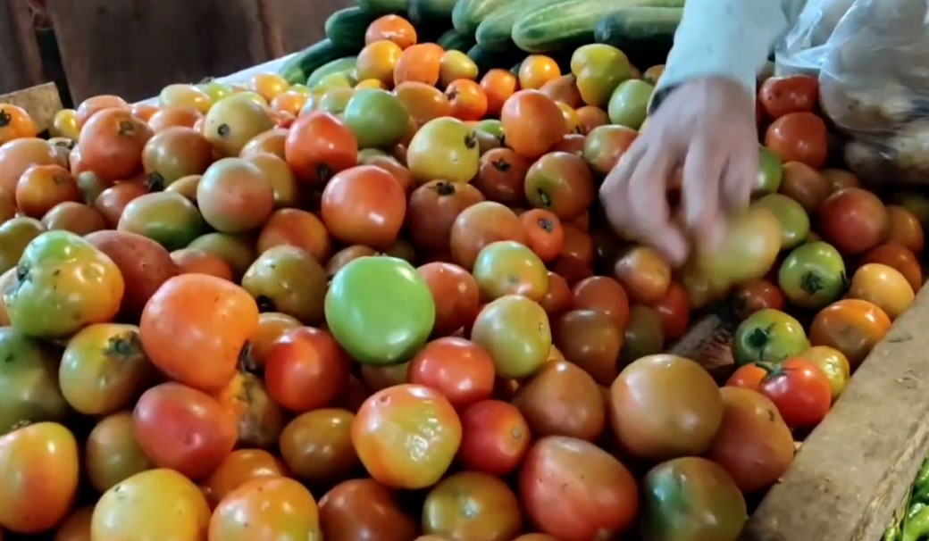 Dampak Cuaca, Harga Tomat di Pasar Bojong Pekalongan Merangkak Naik