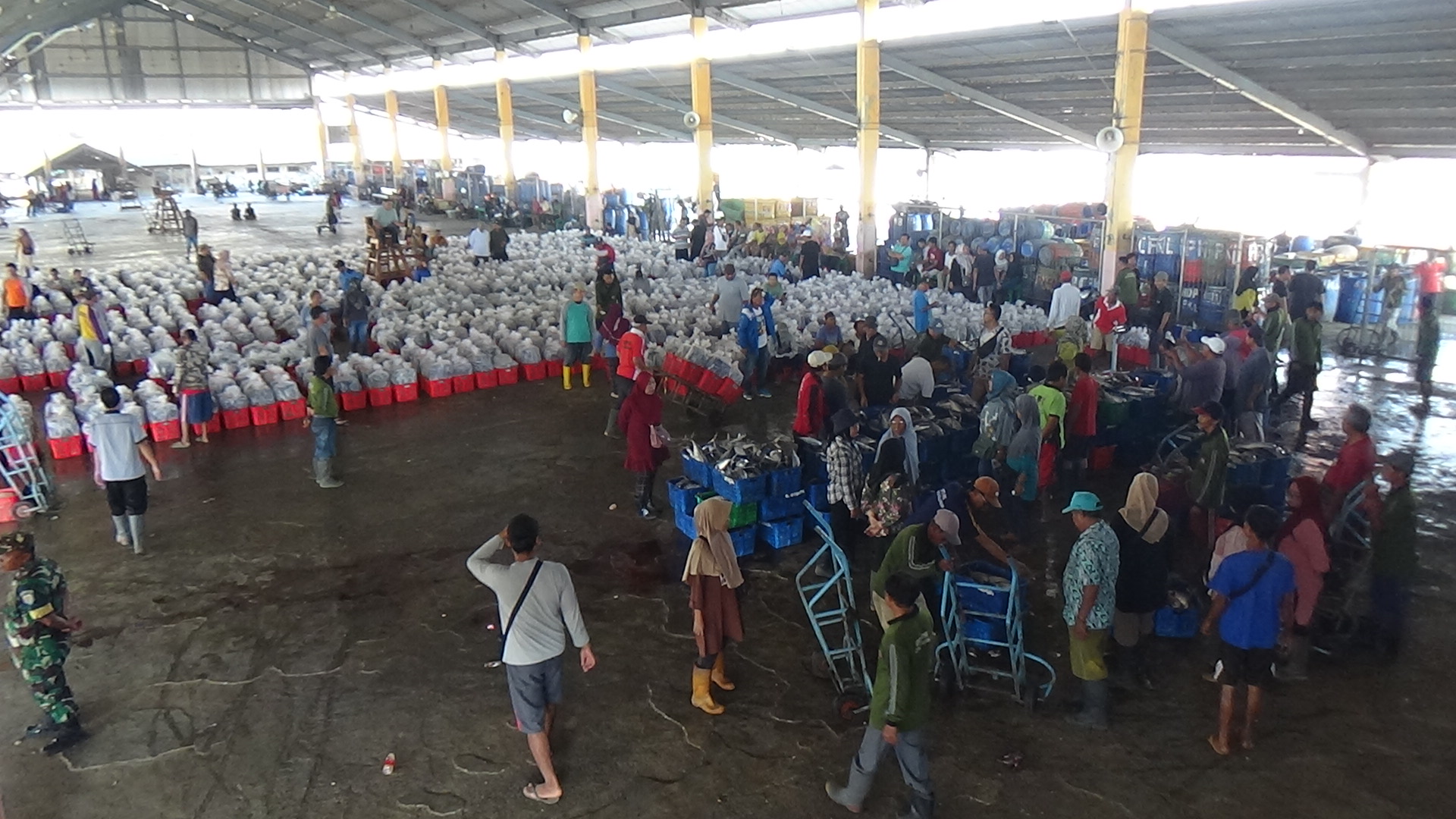 Agustus, PAD TPI Kota Pekalongan Capai 43 Persen 