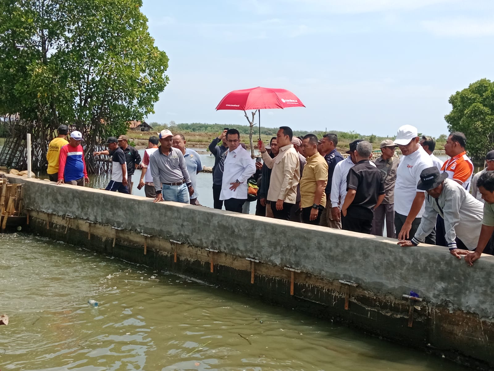 Ratusan Hektare Sawah Terendam Rob, Rizal Bawazier Desak Percepatan Pembangunan Tanggul Raksasa Bantu Petani Kasepuhan