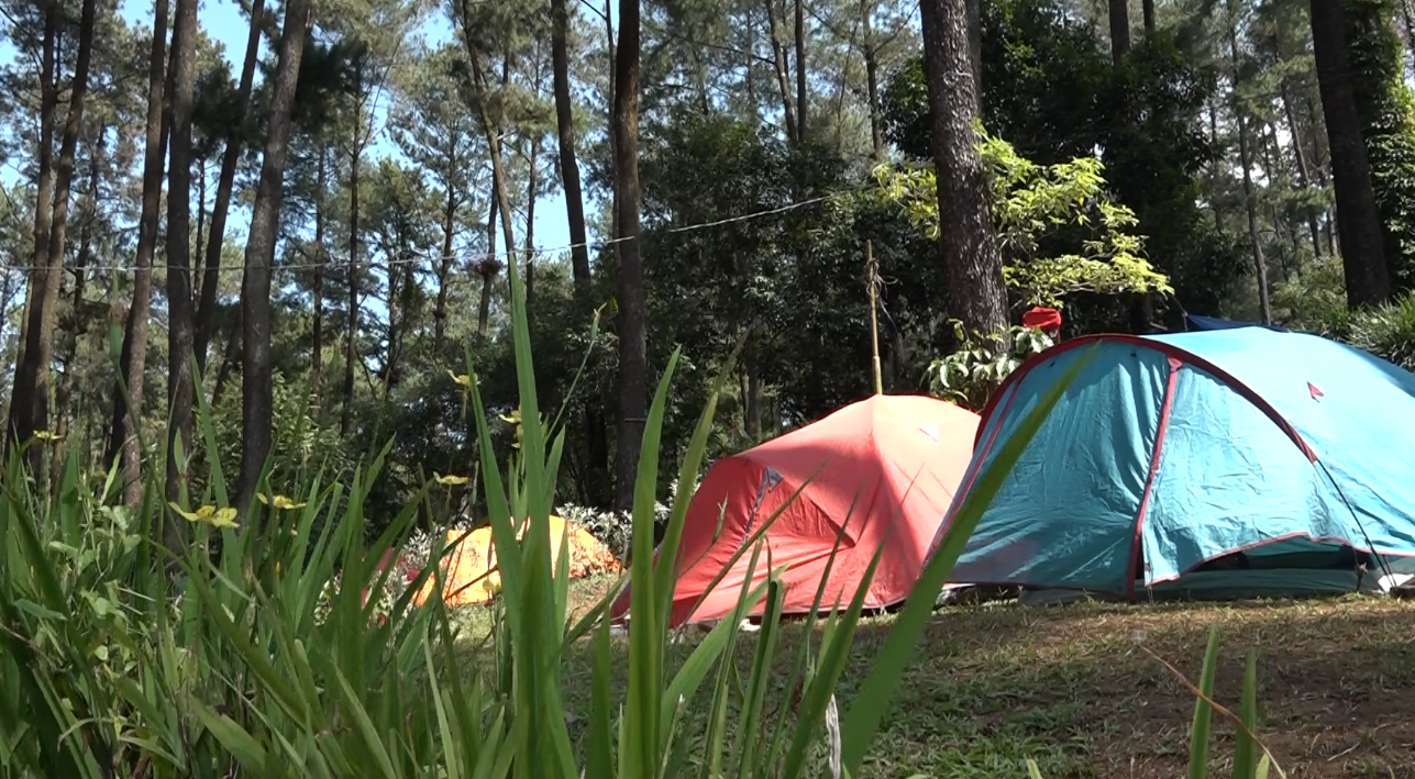 Eksplor Ragam Potensi Desa Wisata Linggo Asri 