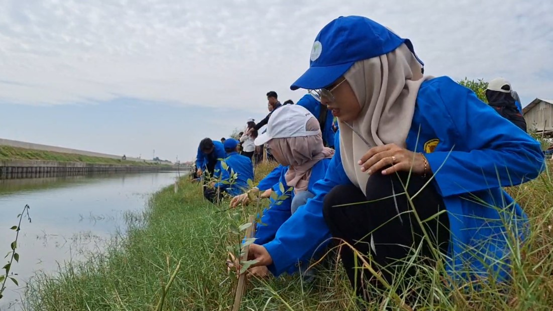 Mahasiswa Baru Fakultas Hukum UNIKAL Aksi Tanam Mangrove