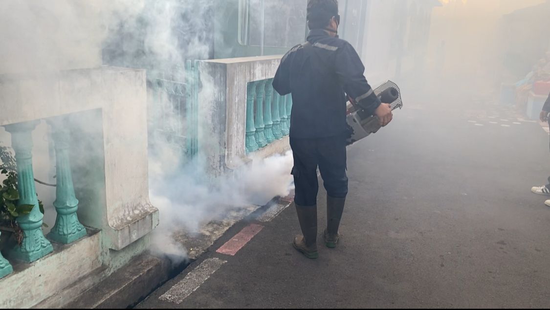 Kasus Dbd Di Kota Pekalongan Meningkat 2 Kali Lipat, Dinkes Himbau Masyarakat Waspada