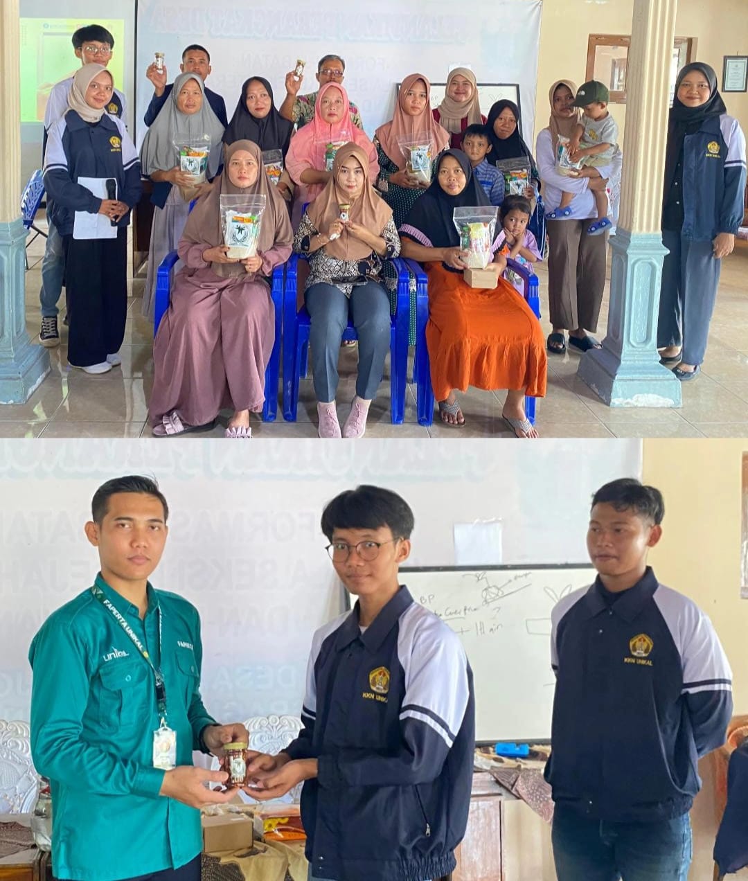 Pelatihan Pengelolaan Tanaman Cabai dan Budidaya Ikan Hias Hidroponik Ekonomis di Desa Purworejo 