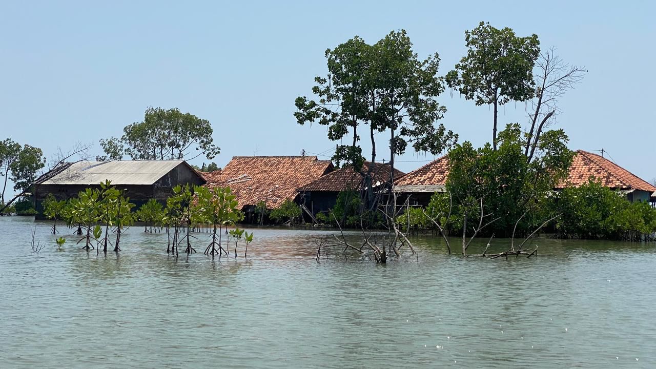 Dari Krisis Menuju Keberlanjutan: Peran Ekonomi Hijau Dalam Pemulihan Global