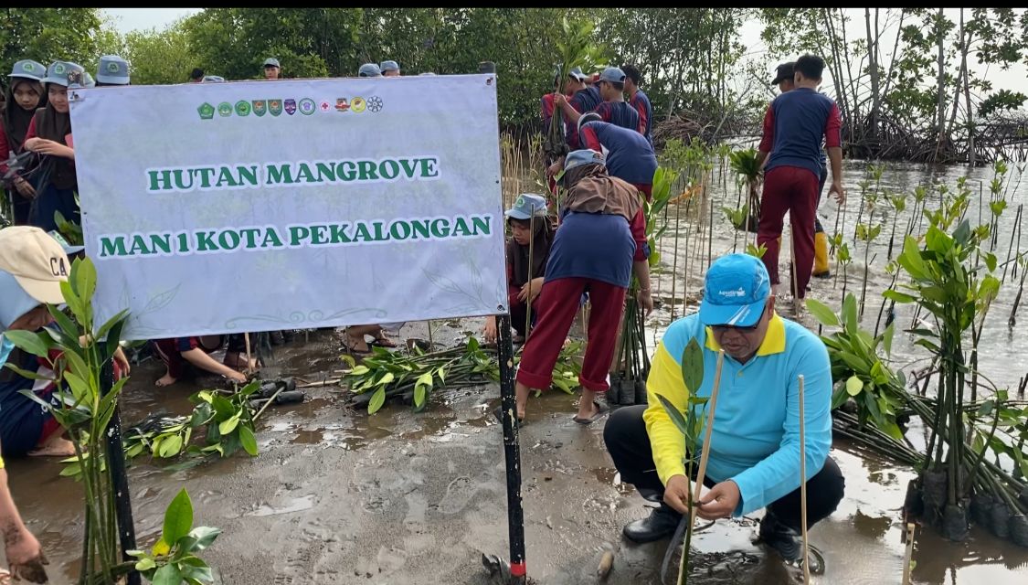 SISWA MAN 1 PEKALONGAN TANAM 1.000 MANGROVE, WUJUDKAN 
