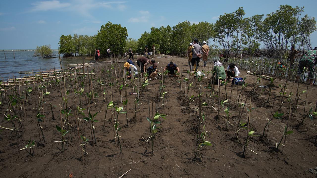 Indonesia Raih Dana Iklim dari GCF, Perkuat Ketahanan Pesisir Pekalongan-Batang Lewat Program BRAVE