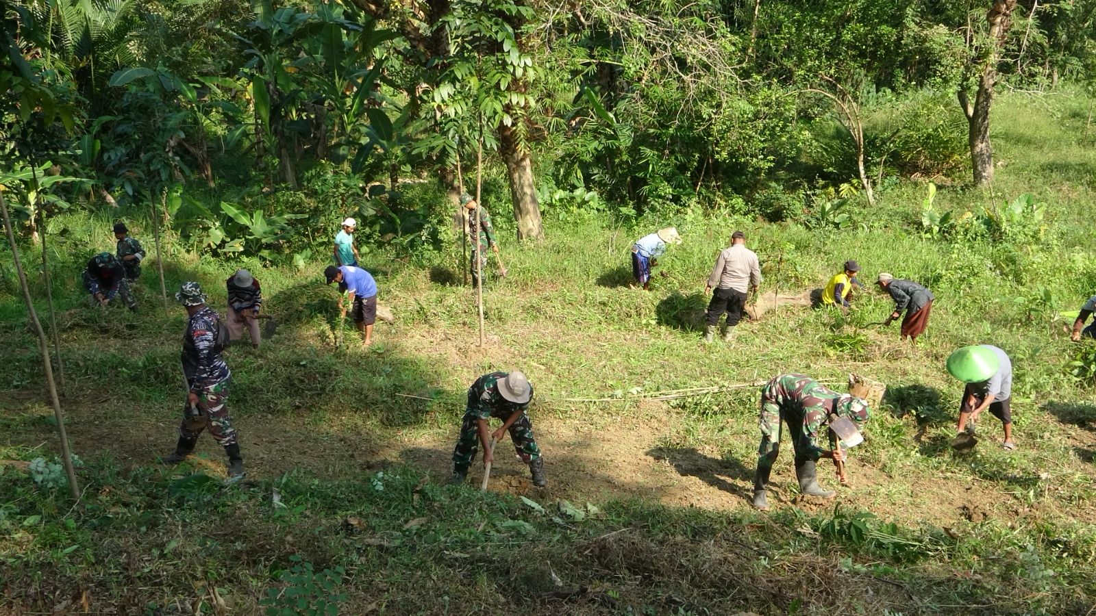 TMMD Reguler ke-125 Kodim 0710/Pekalongan Siapkan Lahan Penghijauan di Desa Windurojo